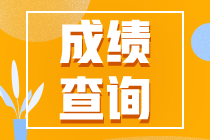 安徽省2021年初級會計考試成績啥時候能查到？