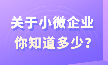 關(guān)于小微企業(yè)，你知道多少？