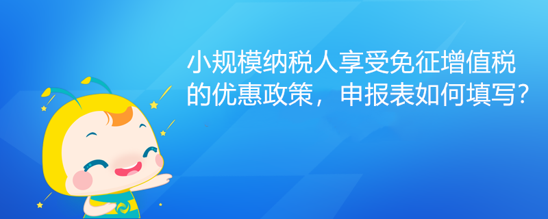 小規(guī)模納稅人享受免征增值稅的優(yōu)惠政策，申報(bào)表如何填寫？