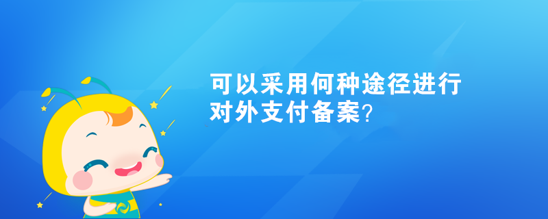 可以采用何種途徑進(jìn)行對(duì)外支付備案？