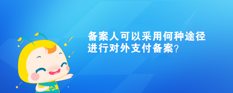 備案人可以采用何種途徑進(jìn)行對(duì)外支付備案？