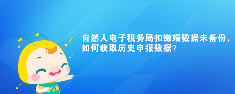 自然人電子稅務局扣繳端數(shù)據(jù)未備份，如何獲取歷史申報數(shù)據(jù)？