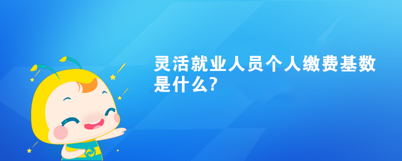 靈活就業(yè)人員個人繳費基數(shù)是什么?