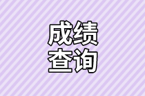 審計師成績查詢