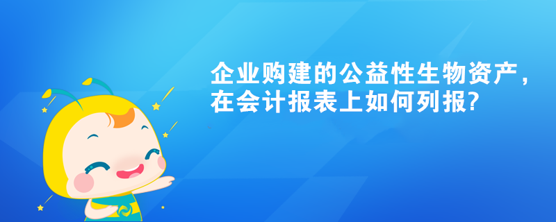 企業(yè)購建的公益性生物資產(chǎn)，在會(huì)計(jì)報(bào)表上如何列報(bào)?