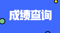 四川注會查分入口將于11月開通！