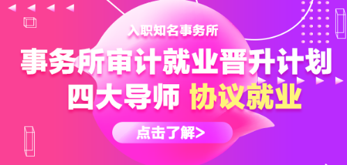 事務所審計就業(yè)晉升計劃