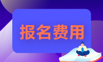 湖南省2022年的初級(jí)會(huì)計(jì)師報(bào)名費(fèi)多少錢？