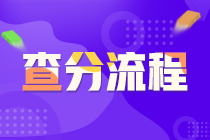 證券從業(yè)資格考試查分流程？