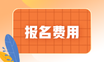 遼寧省2022年初級會計師報名費是多少？