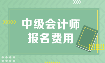 中級(jí)會(huì)計(jì)報(bào)考費(fèi)用多少錢?