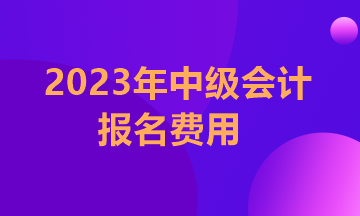 江蘇2023年中級會(huì)計(jì)職稱考試報(bào)名費(fèi)用多少？