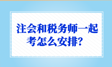 注會(huì)和稅務(wù)師一起考怎么安排？