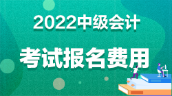 中級(jí)會(huì)計(jì)考試報(bào)名費(fèi)用