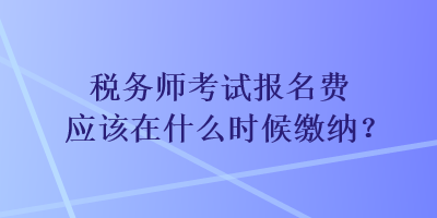 稅務(wù)師考試報(bào)名費(fèi)應(yīng)該在什么時(shí)候繳納？