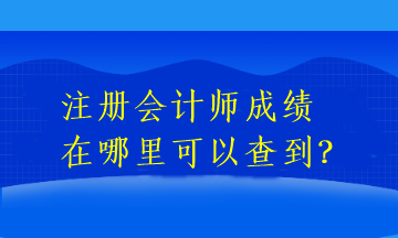 注冊會計師成績在哪里可以查到？