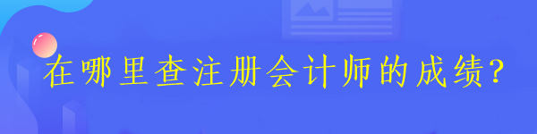 在哪里查注冊會計師的成績？