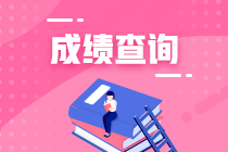 什么時(shí)候出注冊(cè)會(huì)計(jì)師考試成績(jī)？