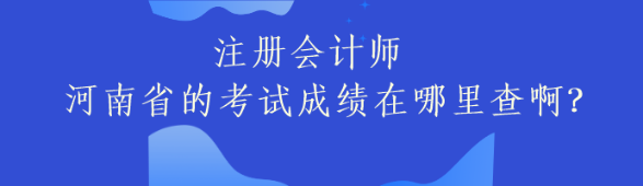 注冊會計(jì)師河南省的考試成績在哪里查啊？