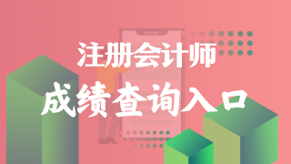 河南省的2022年注冊會計(jì)師考試成績在哪里查？