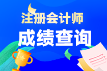 注會(huì)成績(jī)什么時(shí)間查詢？