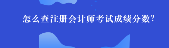 怎么查注冊會計師考試成績分數(shù)？