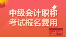 中級會計考試報名費(fèi)用