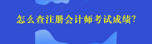 怎么查注冊會計師考試成績？