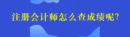 注冊會計師怎么查成績呢？