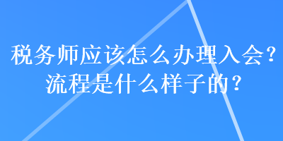 稅務(wù)師應(yīng)該怎么辦理入會？流程是什么樣子的？