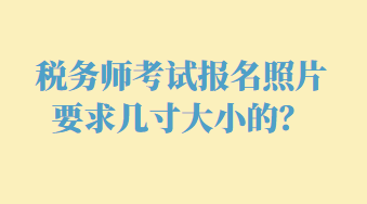 稅務(wù)師考試報名照片要求幾寸大小的？