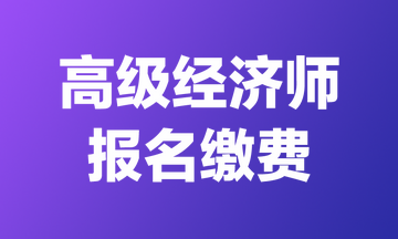 高級經濟師報名繳費