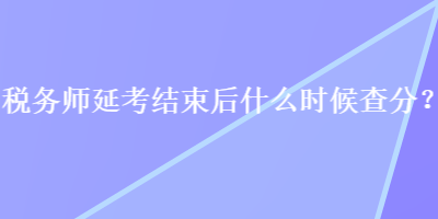 稅務師延考結束后什么時候查分？