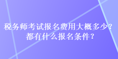 稅務師考試報名費用大概多少？都有什么報名條件？