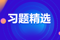 2023中級審計師《審計理論與實(shí)務(wù)》練習(xí)題精選（二十九）