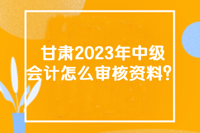 甘肅2023年中級會(huì)計(jì)怎么審核資料？