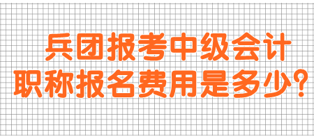 兵團(tuán)報(bào)考中級(jí)會(huì)計(jì)職稱報(bào)名費(fèi)用是多少？