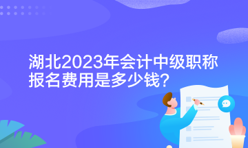 湖北2023年會計(jì)中級職稱報(bào)名費(fèi)用是多少錢？