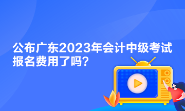 公布廣東2023年會計中級考試報名費用了嗎？