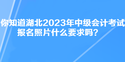 你知道湖北2023年中級會計考試報名照片什么要求嗎？