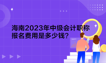 海南2023年中級(jí)會(huì)計(jì)職稱報(bào)名費(fèi)用是多少錢(qián)？