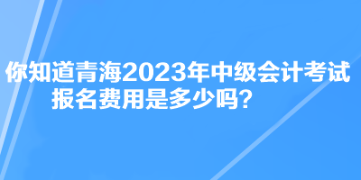 你知道青海2023年中級會計考試報名費用是多少嗎？