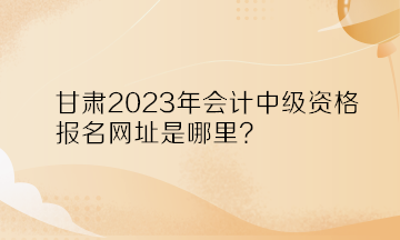 甘肅2023年會(huì)計(jì)中級(jí)資格報(bào)名網(wǎng)址是哪里？