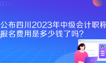  公布四川2023年中級會計職稱報名費用是多少錢了嗎？