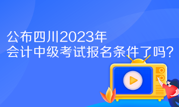 公布四川2023年會(huì)計(jì)中級(jí)考試報(bào)名條件了嗎？