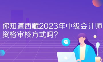 你知道西藏2023年中級(jí)會(huì)計(jì)師資格審核方式嗎？