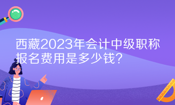 西藏2023年會(huì)計(jì)中級(jí)職稱報(bào)名費(fèi)用是多少錢？