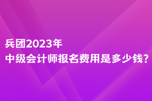 兵團2023年中級會計師報名費用是多少錢？