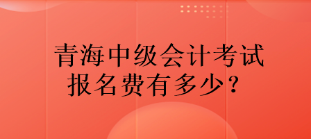 青海中級(jí)會(huì)計(jì)考試報(bào)名費(fèi)有多少？