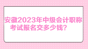 安徽2023年中級會計職稱考試報名交多少錢？